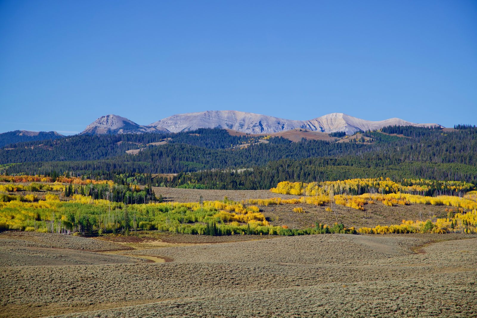 2500 +- acre ranch for sale Near Daniel Wyoming