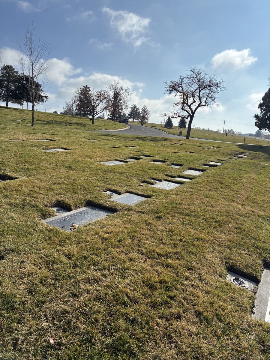 Main image 2