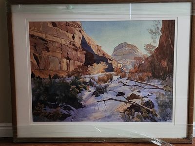 Southern Utah winter Canyon