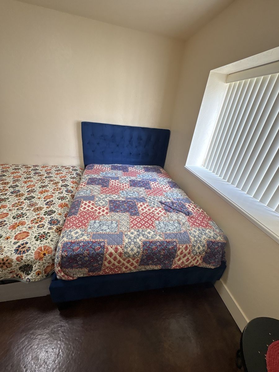 Queen size Blue Velvet Tufted bed with clean mattress and boxspring $200 cash/venmo in Draper