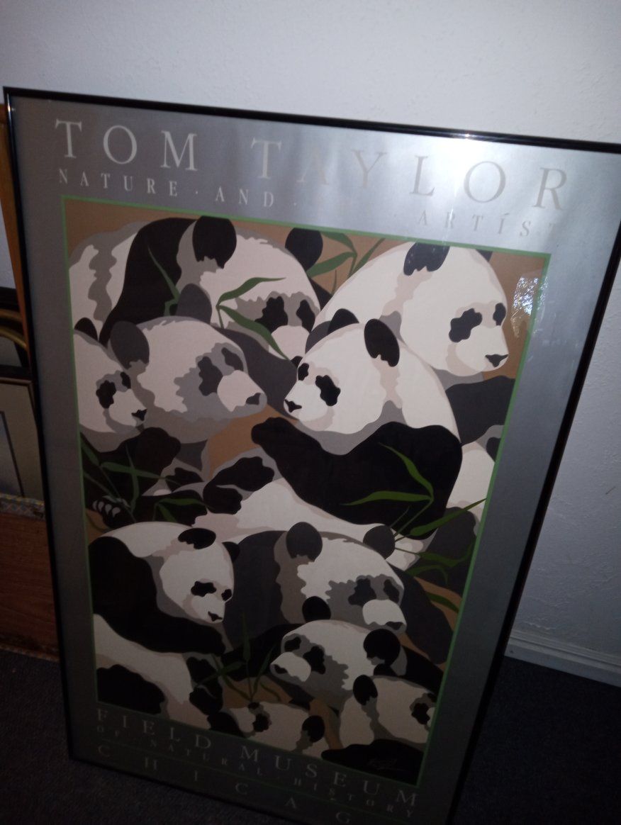 Tom Taylor "Nature and Artistry" Field Museum Panda Print Framed Wall Art Decor