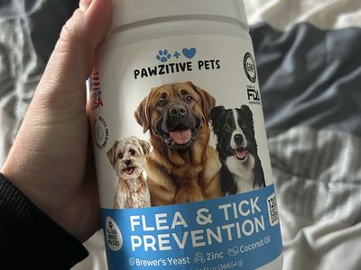 Dog flea & tick prevention