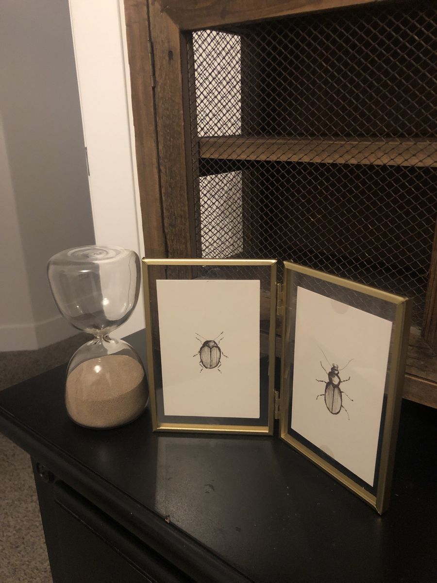 Vintage Style Double Hinged Gold Metal Frame with Beetle Artwork and Hourglass (6")