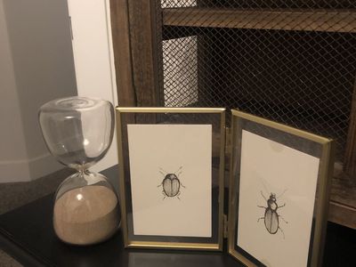Vintage Style Double Hinged Gold Metal Frame with Beetle Artwork and Hourglass (6")