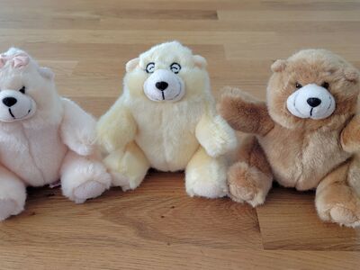 Charmin Bears Set
