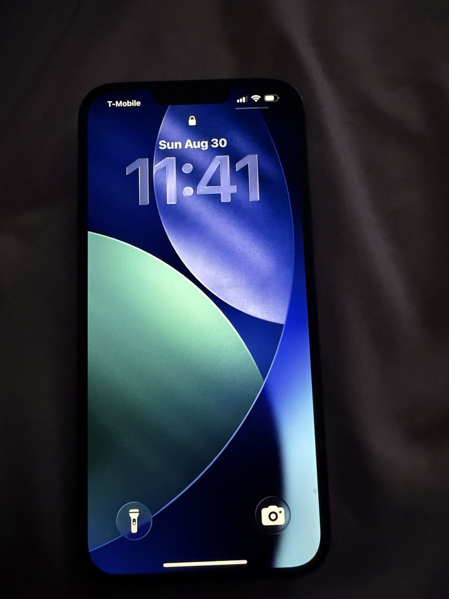 iPhone 13 Pro Max