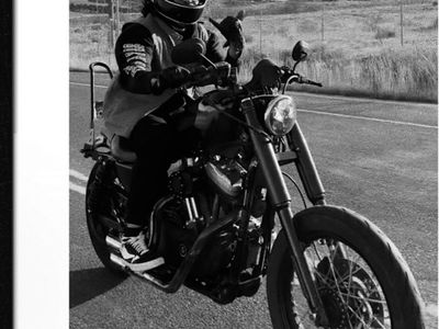 Harley-Davidson Sportster 1200