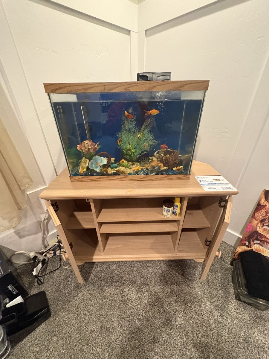22 Gallon Aquarium – Fish, Equipment + Display