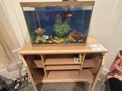 22 Gallon Aquarium – Fish, Equipment + Display