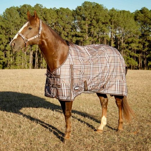 Plaid Horse Blanket Sheet
