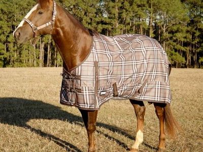 Plaid Horse Blanket Sheet