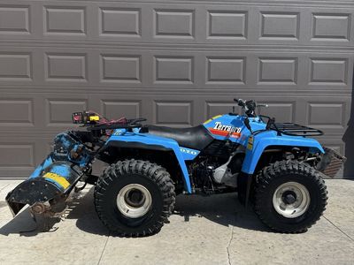 1988 Yamaha Terrapro 350