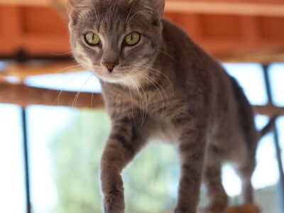 Hello my name is Ashley T