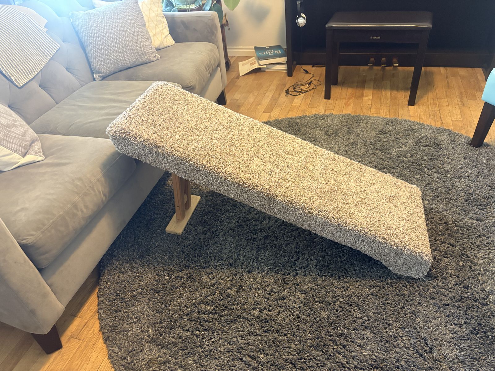 DELIVERY - Dog Ramp - HOME MADE CARPET!!