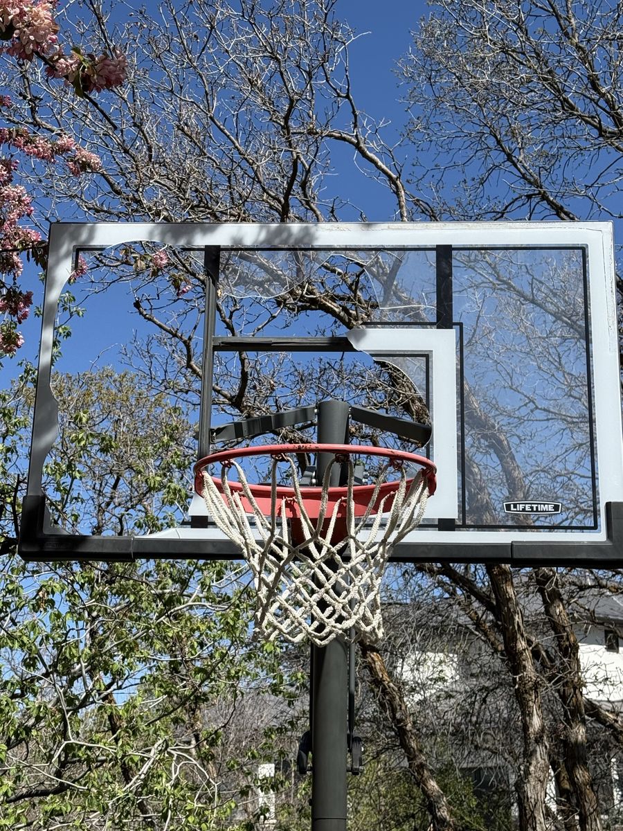 LifeTime Basketball Hoop
