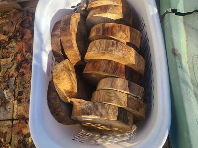 Cottonwood Wood Round Cookies, $5.00 each, cash