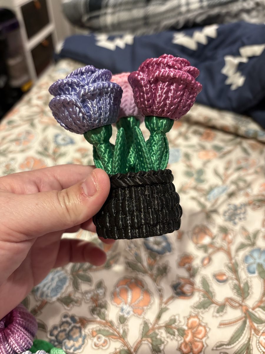 Main image 4