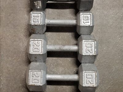 dumbbells 70 pounds
