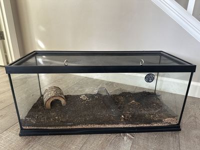 Reptile Enclosure