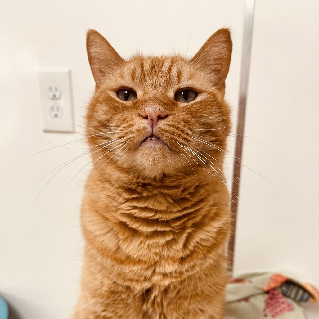 Hello my name is Taka