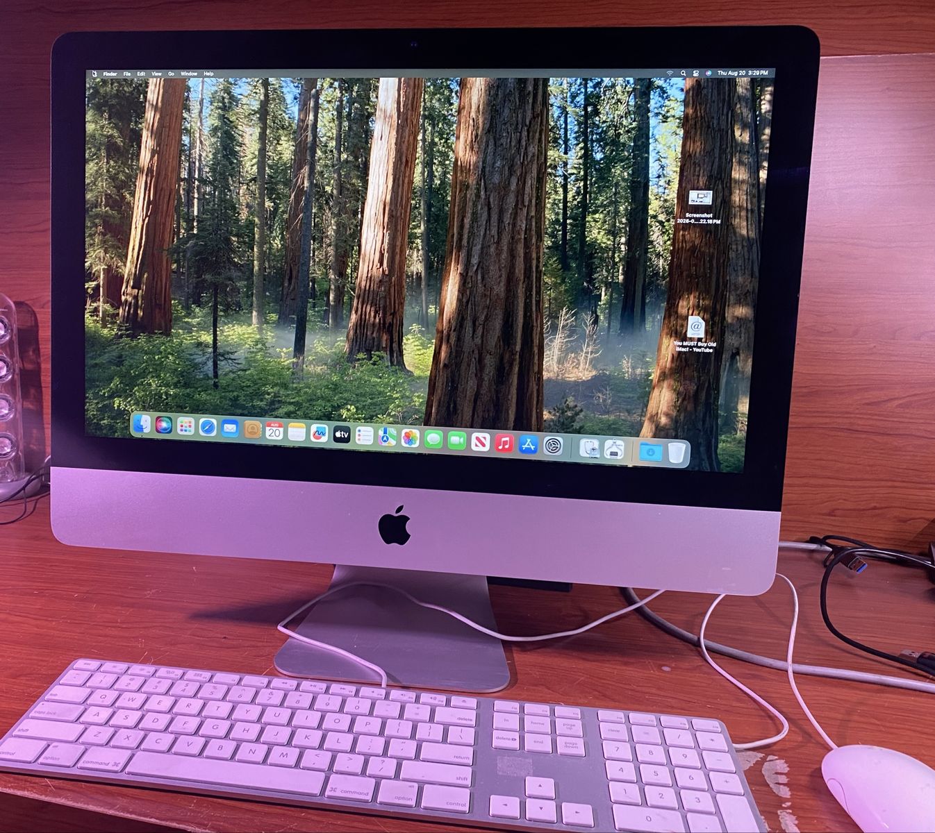 Apple iMac 21.5-inch 2017 - 2.3GHz Dual core Core i5, 16GB RAM, macOS Sequoia with Keyboard & Mouse
