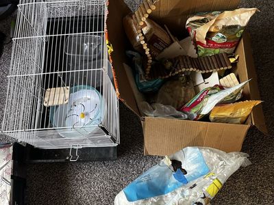 Hamster cage with many supplies