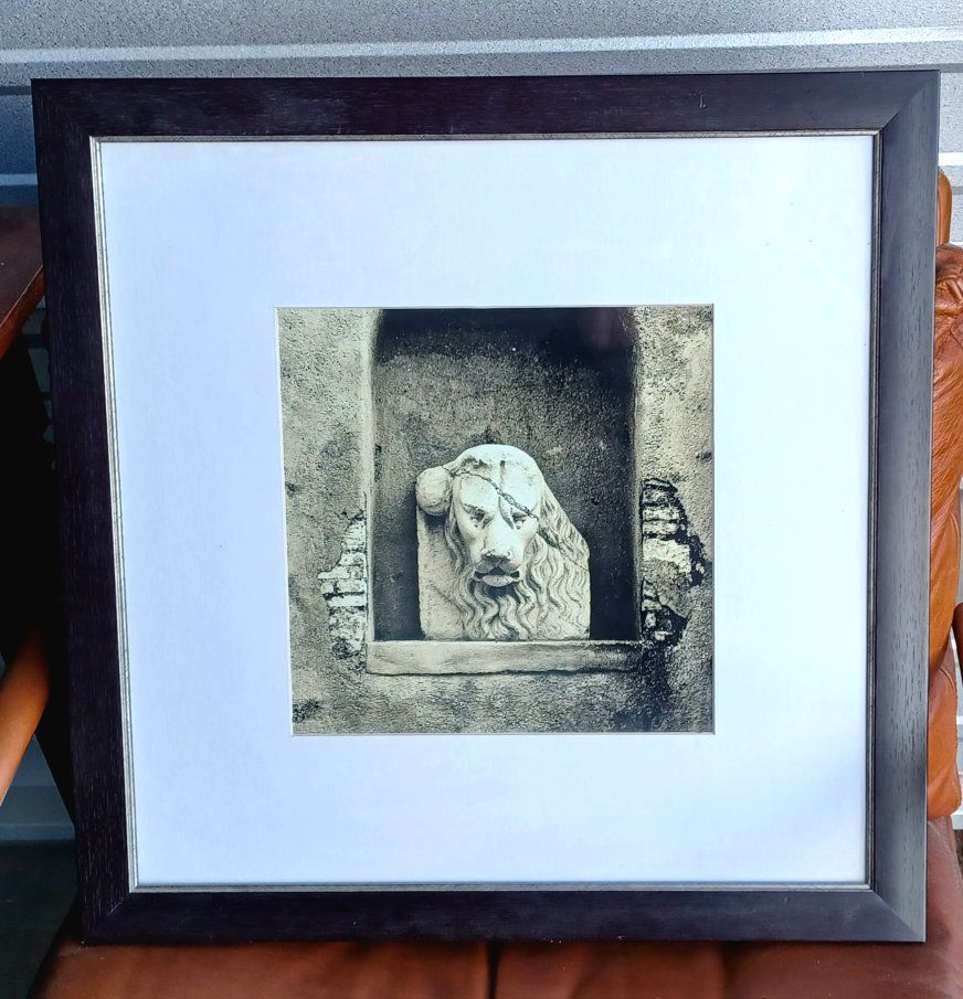 Framed Lion Head Wall Art Decor Sculpture, 25.5x25.5 inches, Black Frame, White Mat