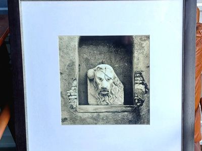 Framed Lion Head Wall Art Decor Sculpture, 25.5x25.5 inches, Black Frame, White Mat