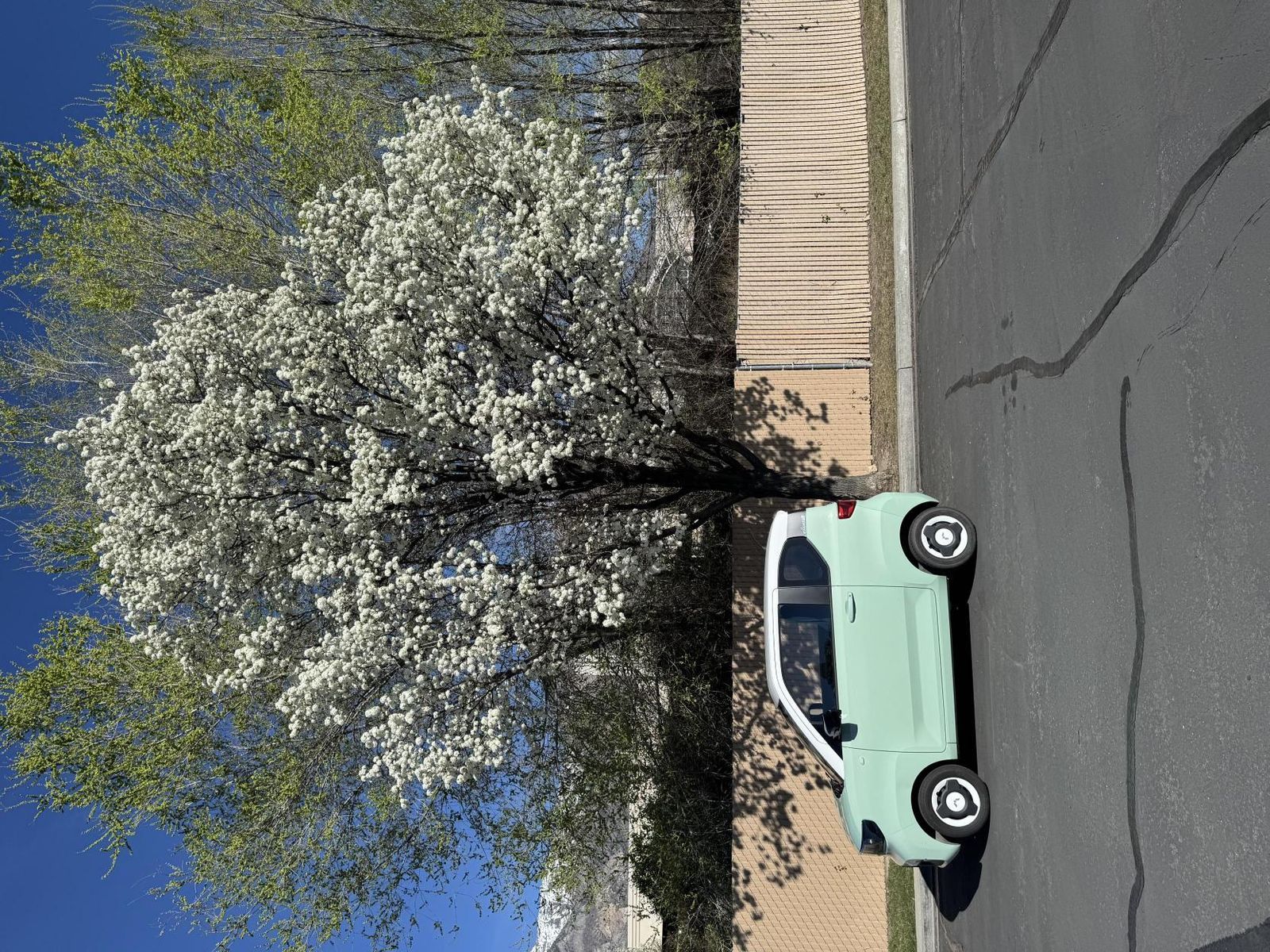 2020 Wuling Macaron EV