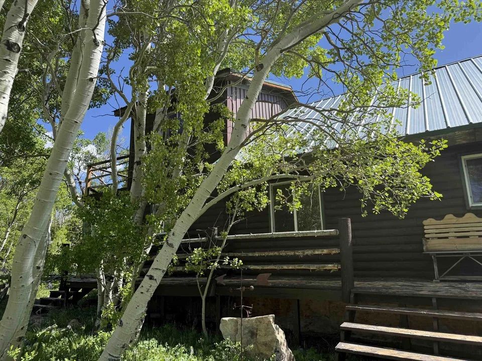Main image 8