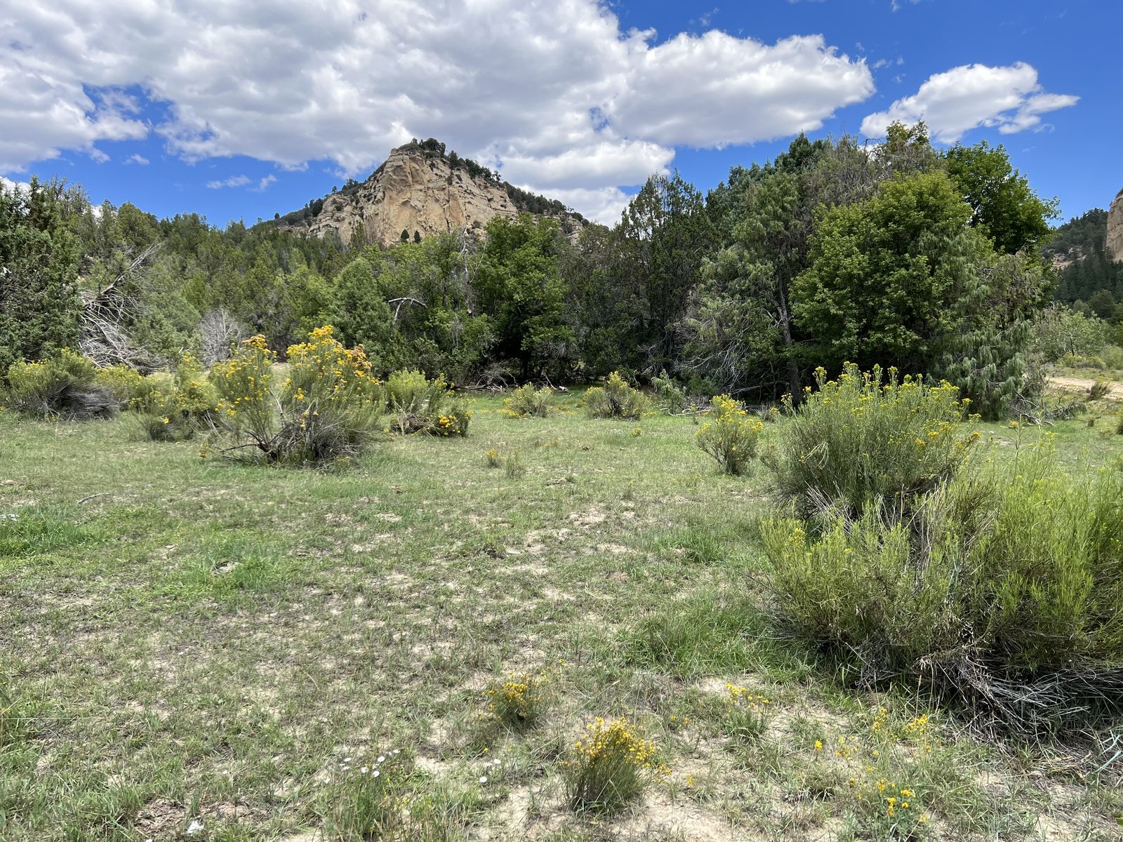 Main image 5