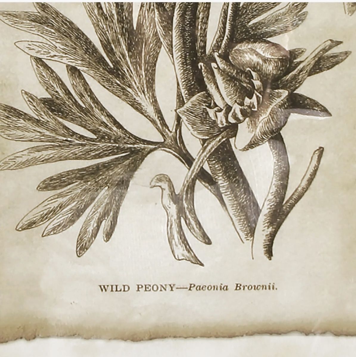 Main image 4