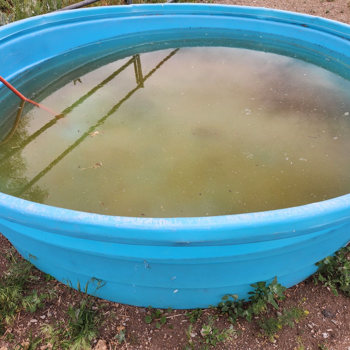 Behlen Stock Tank livestock water