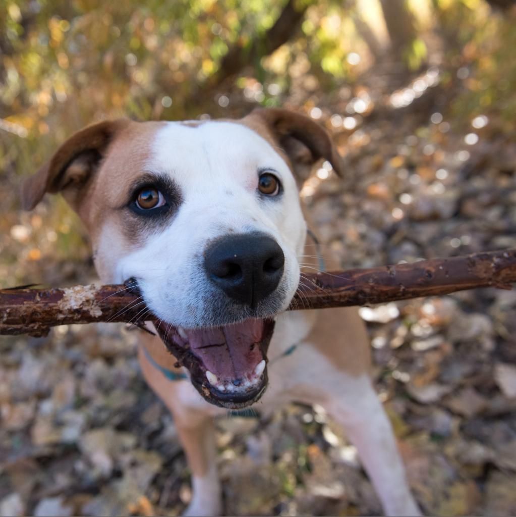 Hello my name is Belinda Carlisle