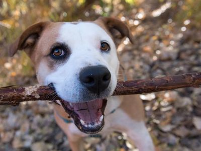 Hello my name is Belinda Carlisle