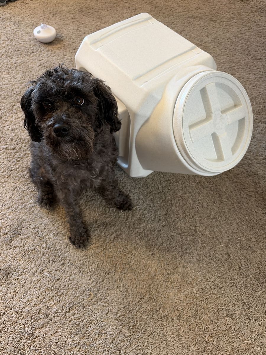 Gamma 2 Vittles Vault