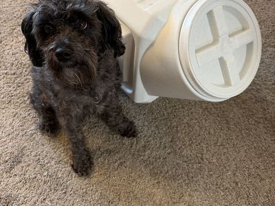 Gamma 2 Vittles Vault