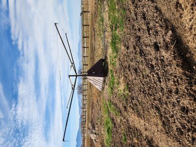 4 horse "hot shot" horse walker