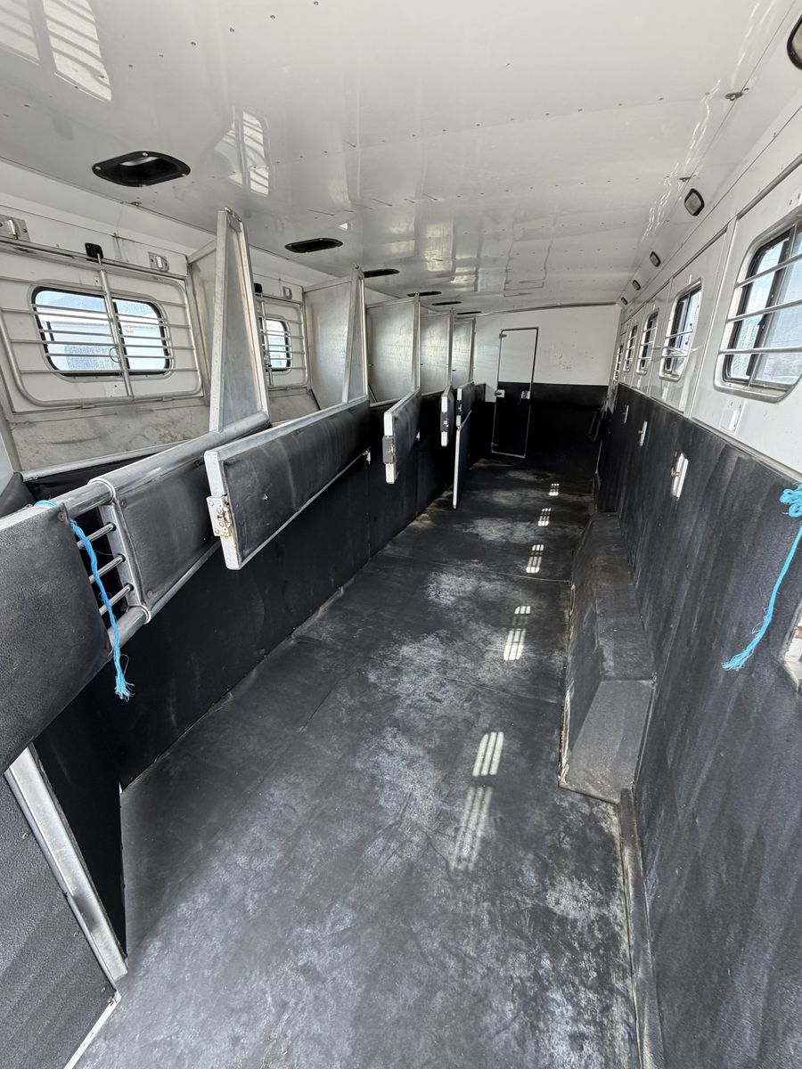 Main image 8