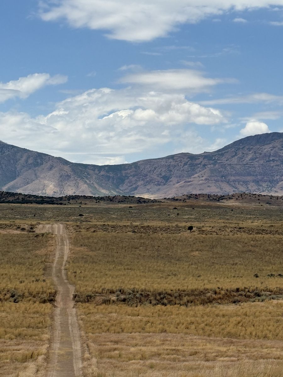 Main image 5