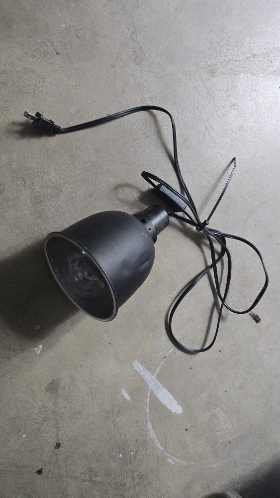 Reptile heat lamp with bulb