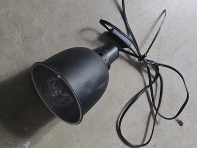 Reptile heat lamp with bulb