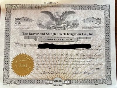 Beaver and shingle creek water share