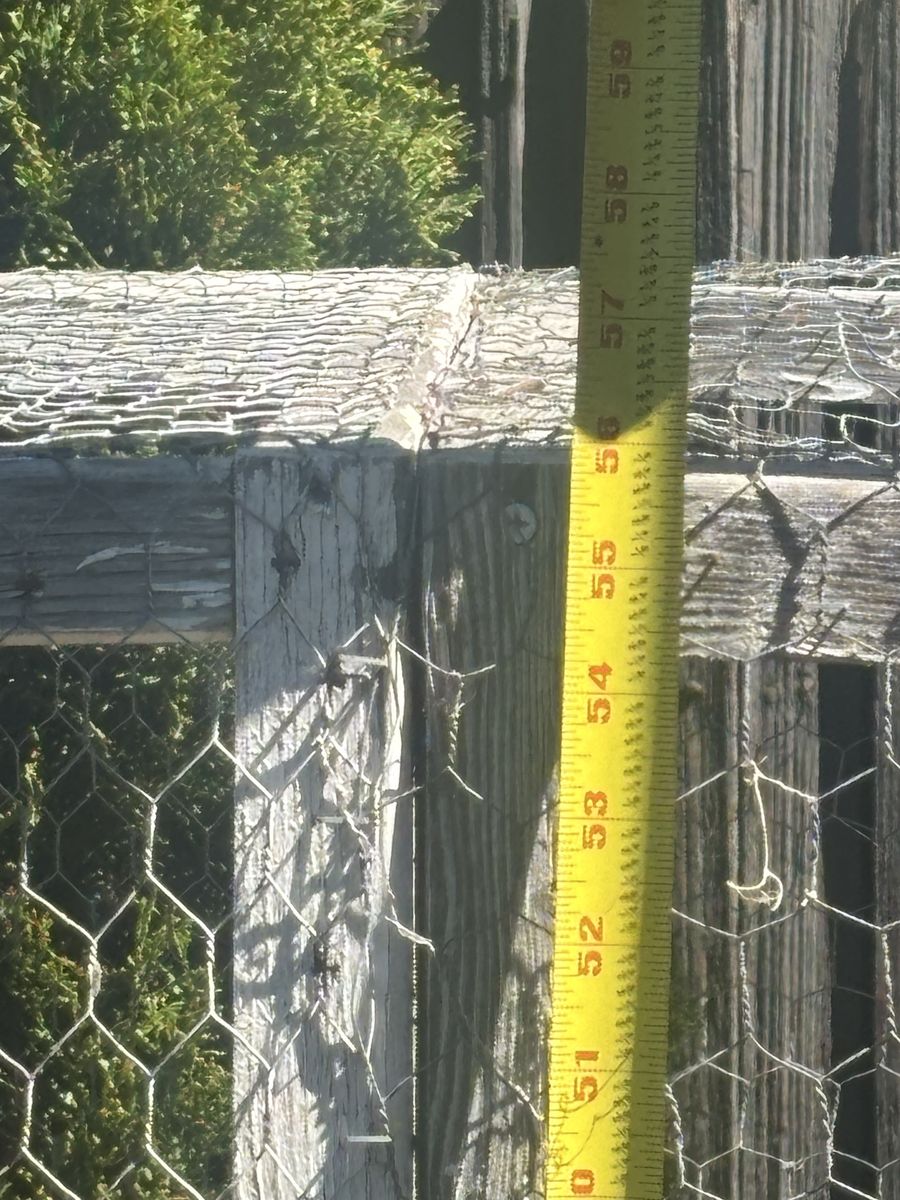 Main image 7