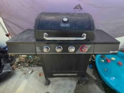 BBQ Girll