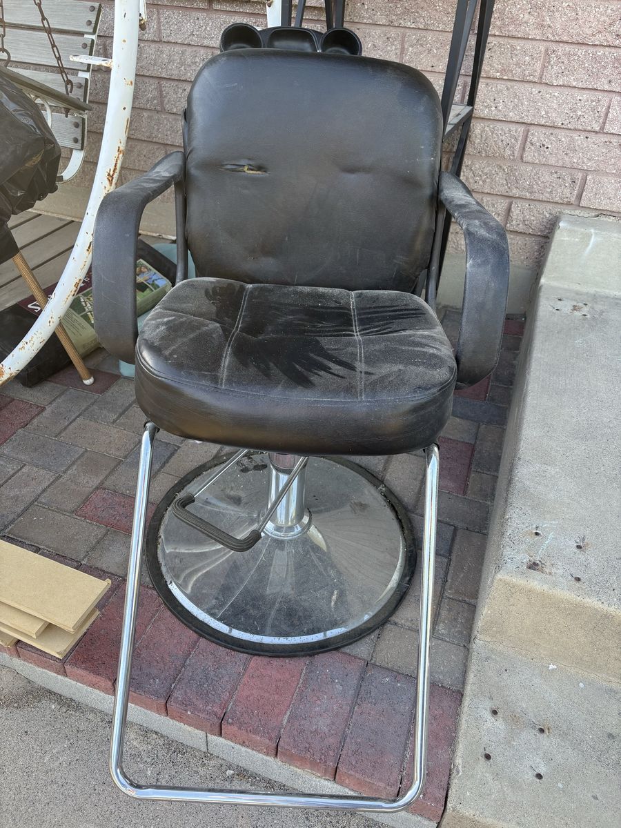 Salon Chair