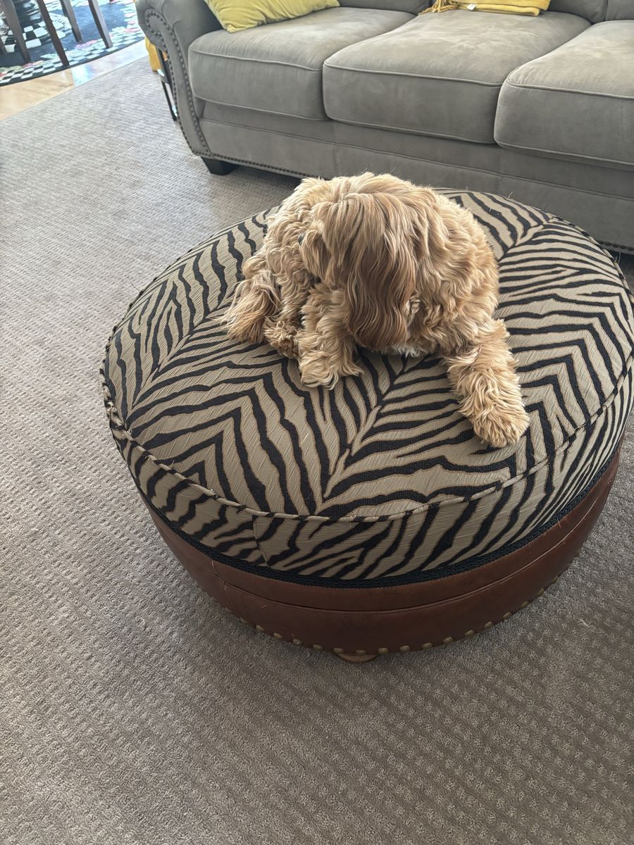 Round Zebra Print Ottoman with Leather Base and Nailhead Trim, 30" Diameter. I have two