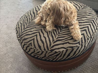 Round Zebra Print Ottoman with Leather Base and Nailhead Trim, 30" Diameter. I have two