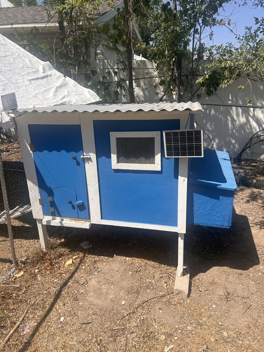 Wooden Outdoor Chicken Coop with Solar Panels and Nesting Box’s, camera and automatic door