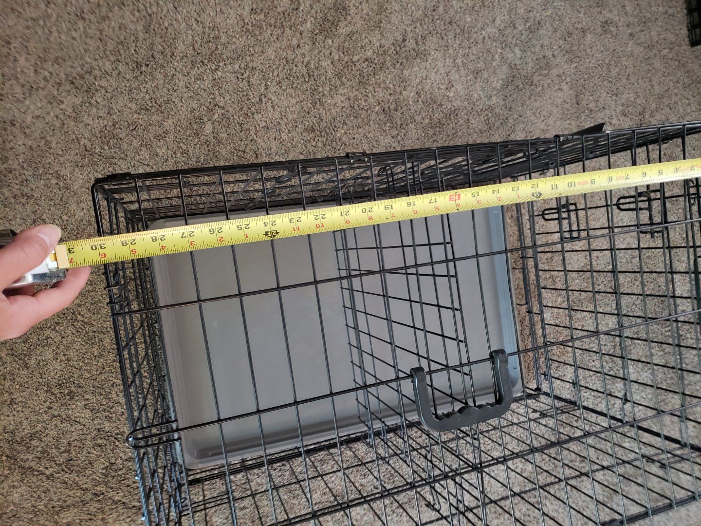 30" Two-Door Puppy Crate – Includes Divider & Easy-Clean Tray